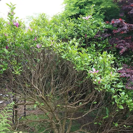 1 The Courtyard بيت للعطل Durrus