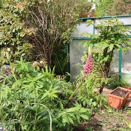 1 The Courtyard * Durrus