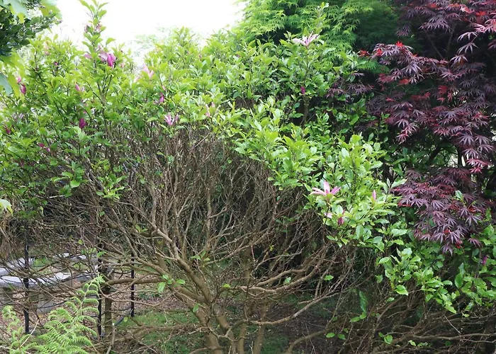 1 The Courtyard Hébergement de vacances Durrus