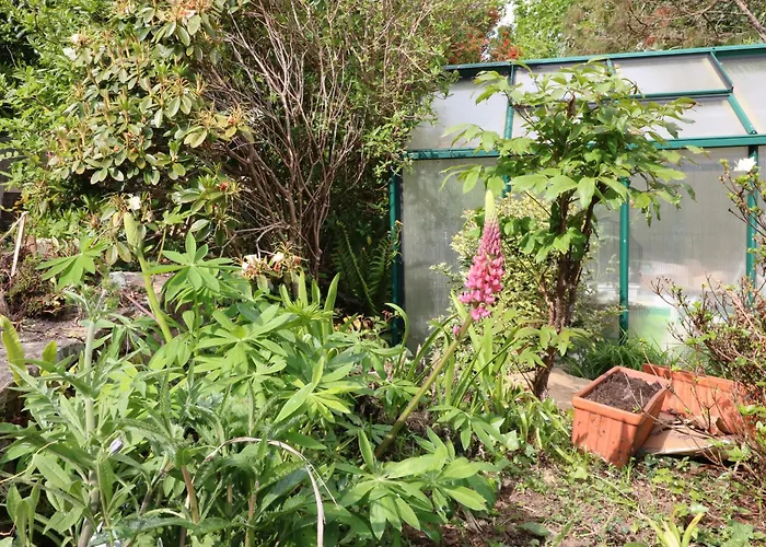 1 The Courtyard * Durrus